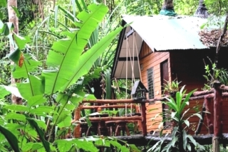 Tree Haus Baumhütte